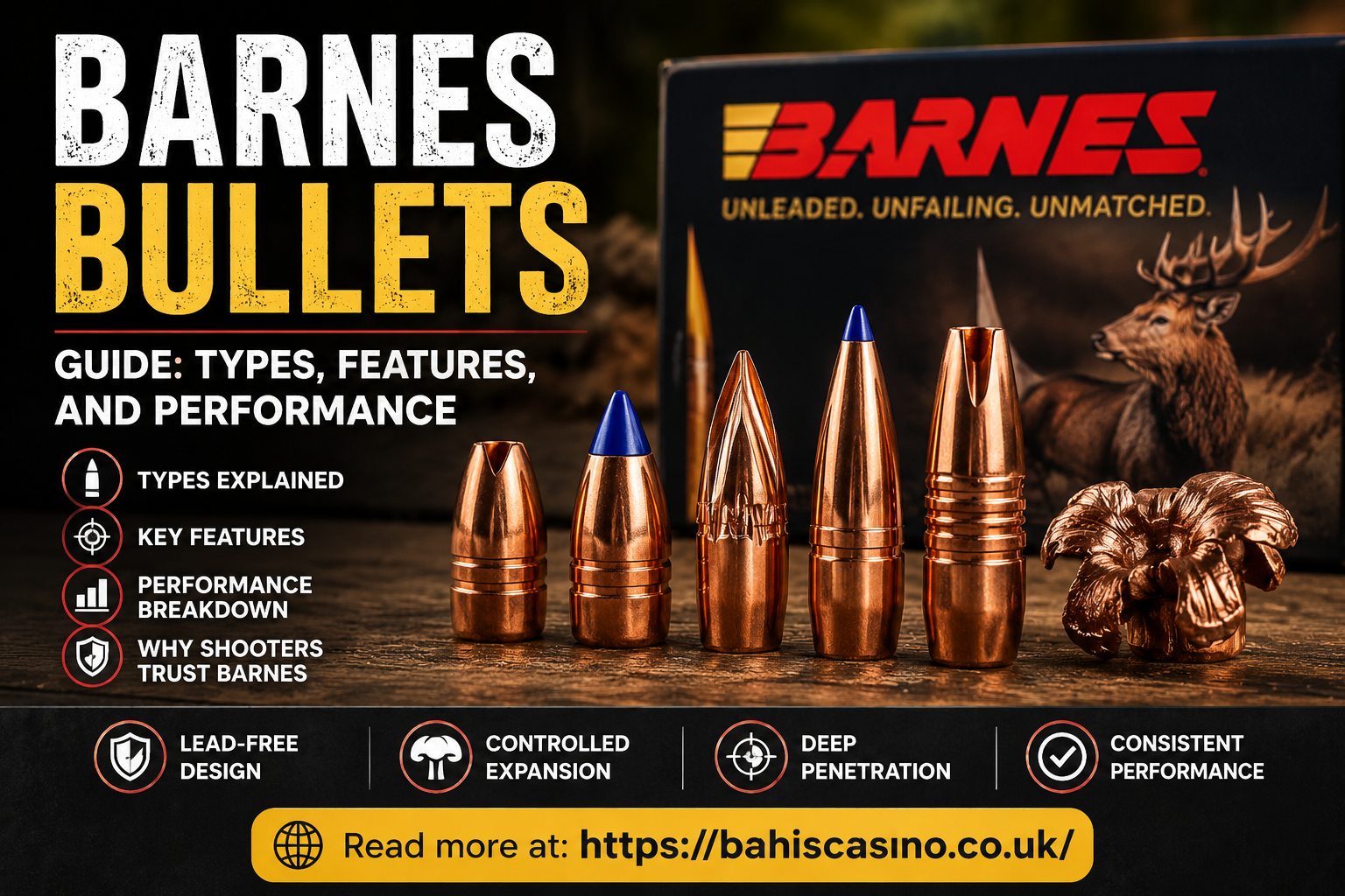 Barnes Bullets